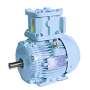มอเตอร์กันระเบิด CROMPTON 2 P 3000 RPM. 0