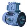 มอเตอร์กันระเบิด CROMPTON 4 P 1500 RPM. 0